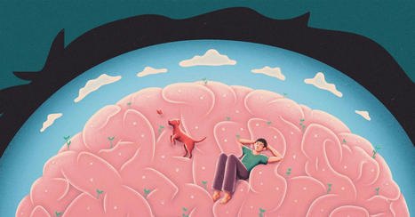 Your Brain When You’re Not Doing Anything | digisapiens v.1.0 | Scoop.it