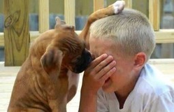 Empathy In Dog Training - “the capacity to place oneself in another’s position” | Empathy and Animals | Scoop.it