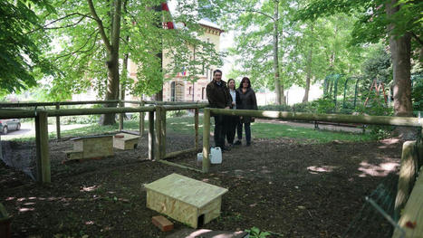 Des h&eacute;rissons en convalescence dans le parc de la mairie d'Andilly | Nature en ville | Scoop.it