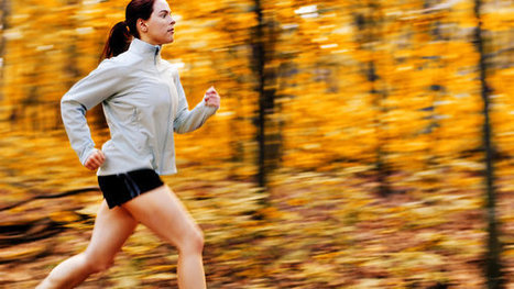 The Power of a Daily Bout of Exercise | Fitness, Health, and Wellness | Scoop.it