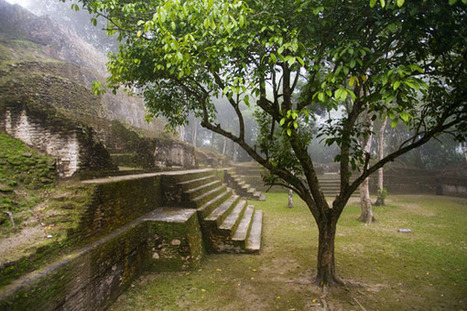 A Foggy Day at the Cahal Pech Ruins in Belize | Cayo Scoop!  The Ecology of Cayo Culture | Scoop.it