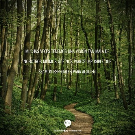 Frases | Chismes varios | Scoop.it