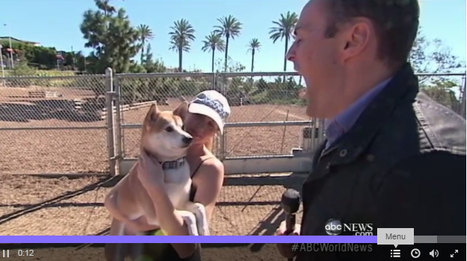 The Science of Yawns, Dogs and Empathy | Empathy and Animals | Scoop.it