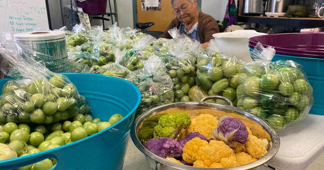 First Nation grows 1,000 pounds of food with community garden | Indigenous Stories and Education | Scoop.it