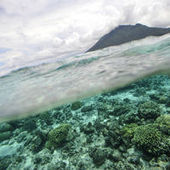 A Ajaccio, une vingtaine de pays appellent à préserver d'urgence la biodiversité marine | Biodiversité | Scoop.it