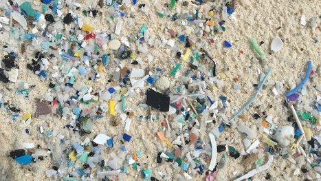 Plastic Piling Up On Remote Islands In The Indian Ocean | Coastal Restoration | Scoop.it