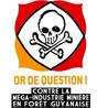 Collectif citoyen contre la méga industrie minière en Guyane