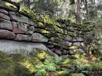 INSOLITE. Pourquoi cet immense mur mill&eacute;naire reste une &eacute;nigme historique qui continue de fasciner | Th&eacute;matique culture et histoire de l'Alsace | Scoop.it