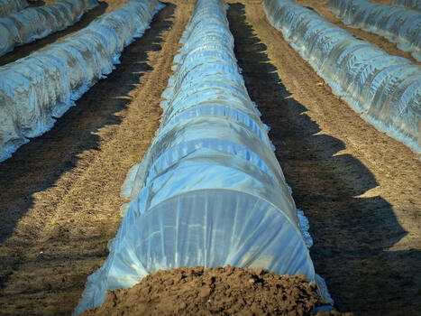 20% des plastiques consommés en France sont destinés aux secteurs agricole et alimentaire | Planète DDurable | Scoop.it