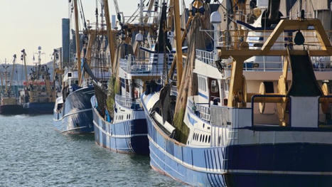 Les États membres continuent la pêche de fond dans les aires marines protégées, malgré les recommandations de l’UE  -Euractiv FR | Biodiversité | Scoop.it