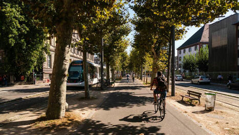 Retour sur les Journées Européennes de la Mobilité de Strasbourg 2024 : focus sur les solutions pour répondre à des besoins en évolution | Cerema | La SELECTION du Web | CAUE des Vosges - www.caue88.com | Scoop.it