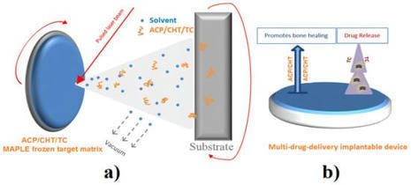 [INP-CIRIMAT] Composite Drug Delivery System Based on Amorphous Calcium Phosphate–Chitosan: An Efficient Antimicrobial Platform for Extended Release of Tetracycline | Publications scientifiques | Scoop.it