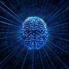 Brain's wiring: More like the Internet than a pyramid? | Science News | Scoop.it