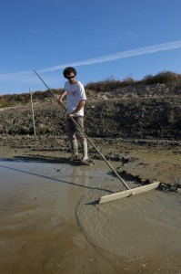 Les marais salants de La Trinité-sur-Mer ouverts au public | Biodiversité - @ZEHUB on Twitter | Scoop.it