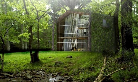 Les maisons-arbres : l’habitat le plus écologique du monde | Build Green, pour un habitat écologique | Scoop.it