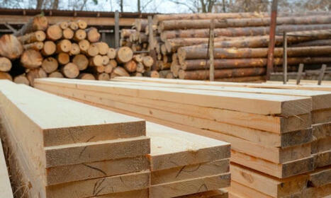 Les n&eacute;oaquitains, leurs for&ecirc;ts et la fili&egrave;re bois : un sujet tout en paradoxes | Les &eacute;co-activit&eacute;s en Gironde | Scoop.it