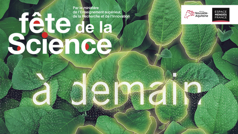 La F&ecirc;te de la science 2019 en Charente, Charente-Maritime, Deux-S&egrave;vres et Vienne | Espace Mend&egrave;s France : culture & m&eacute;diation scientifiques | Espace Mendes France | Scoop.it