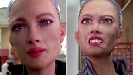 Künstliche Intelligenz: Pflegen uns bald Roboter? "Sophia" von Hanson Robotics verstört | STERN.de | Informatik & Robotik in der Schule | Scoop.it