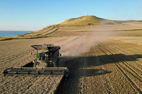 [Article] Agriculture : « Le gouvernement doit se doter d’une politique de restauration des sols » | ECOLOGIE - ENVIRONNEMENT | Scoop.it