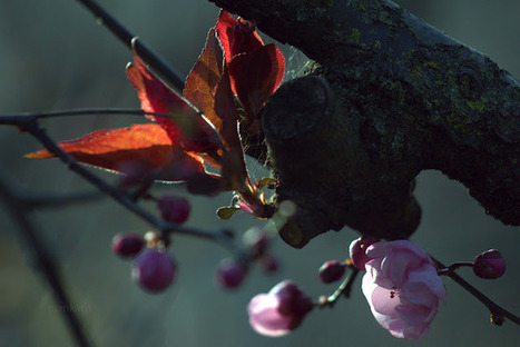 Fototeka, bizileku: Kantua zu zara - The Song Is You | Art and culture | Scoop.it