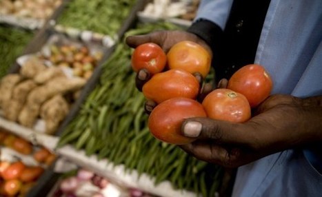 Les sénégalais sont-ils prêts à tout plaquer pour l'agriculture? | Questions de développement ... | Scoop.it