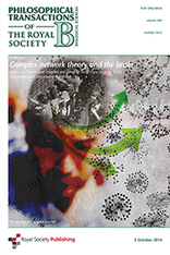 Complex network theory and the brain | Complexity and Random Overlaps | Scoop.it