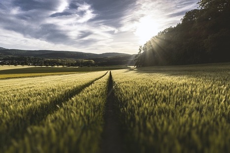Genetically Modified (GM) Food Nation: The History | El Paso Back Clinic® | Healthy Foods | Scoop.it