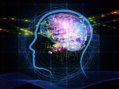 The Human Brain  Science Discovery Documentary HD | Generalidades sobre Neurología | Scoop.it