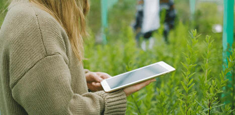 Innovations agricoles : les projets marquants en 2025 | Paysage - Agriculture | Scoop.it