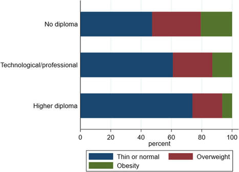 Potential unexpected effects of meat reduction in diet : Could educational attainment influence meat substitution strategies ? | Agricultural and Food Economics | IPCI : Ingénierie de Produits à l'interface Cuisine-Industrie | Scoop.it