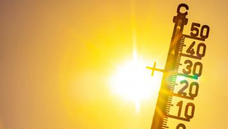 Canicule : les employeurs sont tenus de prot&eacute;ger les agents | Politiques publiques et soci&eacute;t&eacute; | Scoop.it
