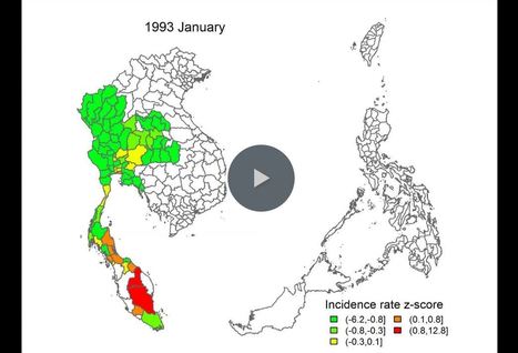 El Niño pourrait provoquer début 2016 une vaste épidémie de dengue en Asie du Sud-Est | EntomoNews | Scoop.it