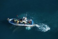 MAB France — Zoom sur la Camargue et le delta du Rhône : Des pêcheurs professionnels au chevet de leurs ressources | Camargue Nature | Scoop.it
