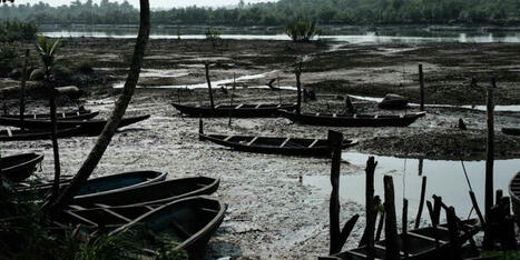 Fresh Oil Spill Ravages Rivers State Community, Pollutes Farmlands, Waterways | Sahara Reporters / le 06.05.2025 | Pollution accidentelle des eaux (+ déchets plastiques) | Scoop.it