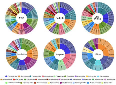 Virus Diversity, Wildlife-Domestic Animal Circulation and Potential Zoonotic Viruses of Small Mammals, Pangolins and Zoo Animals - Nature Communications | Virus World | Scoop.it