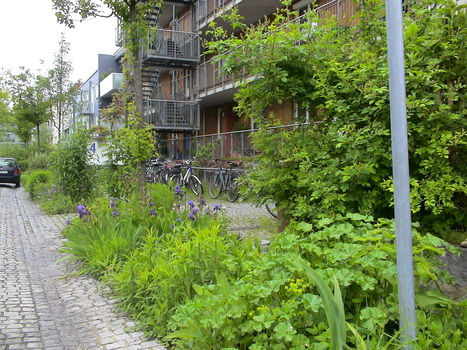 Nature en ville : faites circuler la biodiversité ! | ESPACES VEGETALISES URBAINS | Scoop.it
