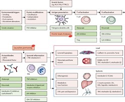 AbbVie's Upadacitinib Shows Significant Improvements in Physical Function, Pain and Quality of Life as a Monotherapy in Patients with Rheumatoid Arthritis in Phase 3 Patient-Reported Outcomes Data ... | Rheumatology-Rhumatologie | Scoop.it
