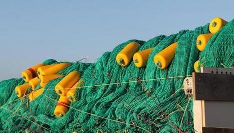 Baie d'Authie : un filet au pied de la dune, rem&egrave;de miracle ? - La Voix du Nord | M&eacute;canique des fluides | Scoop.it