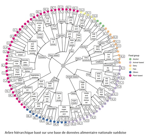 FOCUS PLATEFORME : Une collaboration fructueuse entre Danone Nutricia Research et la plateforme MetaGenoPolis : Vers des recommandations nutritionnelles basées sur l’analyse du microbiote intestinal ? | Life Sciences Université Paris-Saclay | Scoop.it