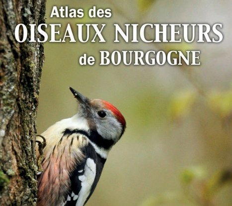 LIVRE : Sortie officielle de l'atlas des oiseaux nicheurs de Bourgogne | Biodiversit&eacute; | Scoop.it