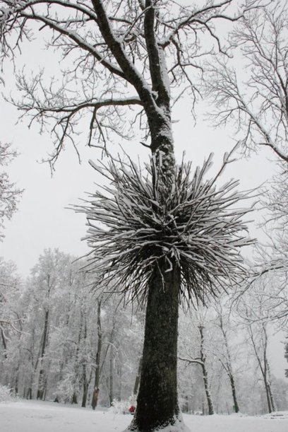 "Flowering" by Žilvinas Višinskas | Art Installations, Sculpture, Contemporary Art | Scoop.it