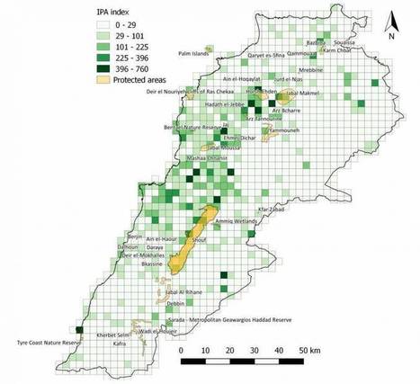 Nouvelle étude de l’Université Saint-Joseph de Beyrouth : 3 % du territoire libanais abrite 79 % de sa flore | Biodiversité | Scoop.it