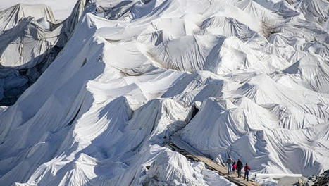 Alpes: près d’un mois d’enneigement perdu en 50 ans - LINFO.re - France, Société | Histoires Naturelles | Scoop.it