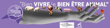 Bien vivre le bien-être animal : un site entièrement dédié | Lait de Normandie... et d'ailleurs | Scoop.it