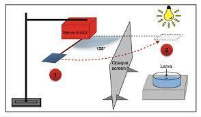 Le glyphosate nuit aux insectes : il perturbe l'apprentissage des larves de moustiques (Aedes aegypti) à des doses couramment pratiquées dans les champs | EntomoNews | Scoop.it