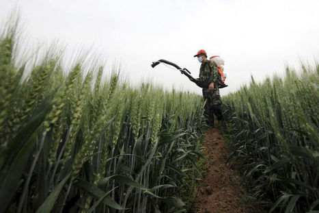 Les pesticides bio, un marché en plein boom | Koter Info - La Gazette de LLN-WSL-UCL | Scoop.it