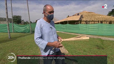 [[Vidéo] JT 20H France2 "Le Bambou s'impose comme matériau principal en Thaïlande" | Build Green, pour un habitat écologique | Scoop.it