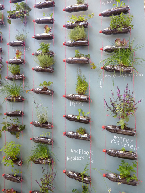 Suspended Bottles Herb Garden | 1001 Gardens | 1001 Gardens ideas ! | Scoop.it