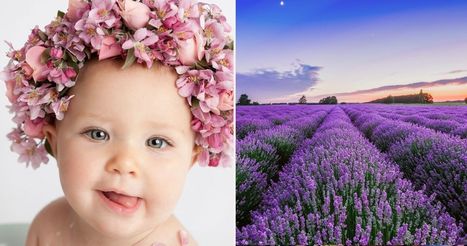 10 Baby Names Inspired By Plants | Name News | Scoop.it