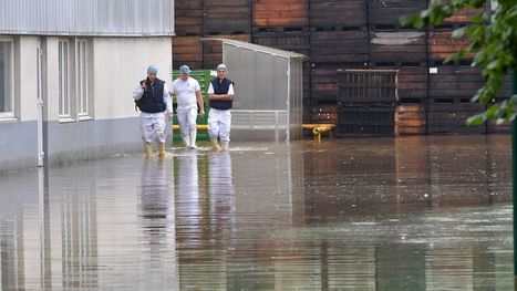 #Transition #écologique : un casse-tête pour les #PME | RSE et PME | Scoop.it